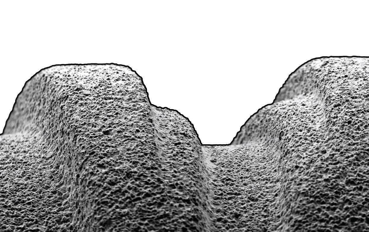 Surface topography, electron micrograph